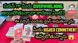 tarot| 💯😱 మీ పర్సన్ మీకు higher commitment ఇవ్వబోతున్నార ? 9493832806