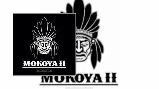 Los Mokoya - La Vida Remix [Lyric]