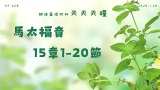 天天天糧 - 馬太福音 15章1-20節