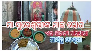 ମା ସୁରେଶ୍ୱରୀଙ୍କ ମାଛ ଭୋଗ ଏକ ଅନନ୍ୟ ପରମ୍ପରା | Fish Sacrifice at Sureswari Temple Sonepur | machha bhoga