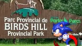 questionable sonic rom hacks (sanic_bum stream highlights)