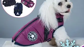 Premium Hundejacke