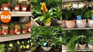 B&Q INDOOR HOUSE PLANTS COLLECTION WITH PRICE OCTOBER 2020 | B&Q HAUL | TRAVELANDSHOP WITH ME