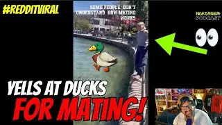 Crazy Woman YELLS at DUCKS for MATING!