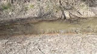 Verockerung im Wadi DSCF9846