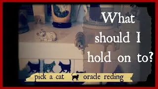 WHAT SHOULD I HOLD ON TO? | pick a cat intuitive oracle reading
