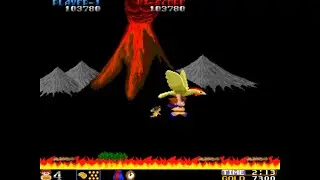 ARCADE Wardner 👾 World Record 🎮
