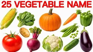 25 सब्ज़ियों के नाम | 25 Vegetable Name English and Hindi Early Learning | Vegetable  Pictures 