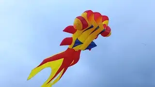 goldfish kite by MTA kite ,layang layang ikan koi #kite  #parangkusumo