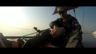 Queen fish on Kayak Dubai September 2020
