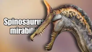 A NEW Spinosaurus Species has Been Discovered!