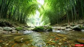 Gentle Stream Flow, Peaceful Birdsong and Forest Ambience, Nature Sounds for Sleep & Stress Relief