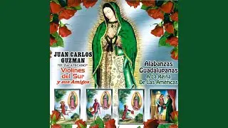 Virgen del Rosario