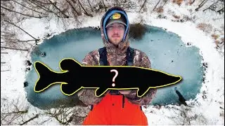 Ice Fishing Small Pond In The Middle Of Nowhere