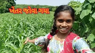 ખેતર જોવા ગયા 😄 II khetar jova gya II kaushik Sejal vlog #dailyvlog #vlog 