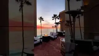 Oceanfront Opulence: A Luxury Haven Amidst Palms