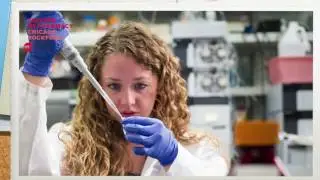 Summer Pharmacy Institute