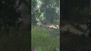 DAYZ TIP 💡: Grenade Death Mechanics #dayz