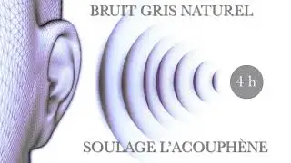 Bruit gris naturel - Natural grey noise