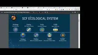 Standard Cross Financial Chain 9 -11  Presentation | SCF