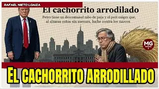 EL CACHORRO ARRODILLADO 🔴 &iquest;TRUMP LE CREER&Aacute; A PETRO? EL DEBATE QUE SACUDE A COLOMBIA