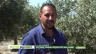 ZEYTİN AĞACI GÜBRESİ 0553 313 83 84