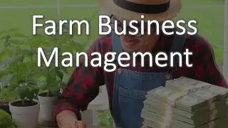 What is a cash flow budget?