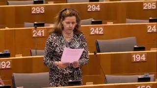 Plenary Debate on Safeguarding the Best Interest of Children - in English