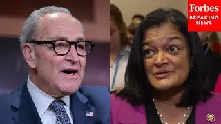 Pramila Jayapal Outright Calls For Removal Of Chuck Schumer As Leader Of Senate Democrats