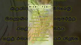 🔥Spoken Hindi through Tamil | Learning Hindi in Easyway through Tamil | Hindi la pesalam |