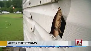 Storms cause damage in Willow Springs