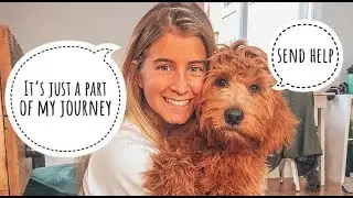 Is Alyse Parker abusing her dog? (Raw Alignment)
