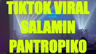 NEW REMIX SALAMIN x PANTROPIKO TIKTOK VIRAL 2025 TECHBOMB REMIX DJ ANN CC