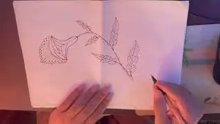 Line Art Flower Sketch Video | Easy Love Rose Drawing Video | Aesthetic Love Art Video | Part 2