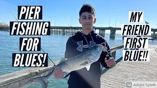 Pier Fishing For BLUEFISH! (Friends First Blue!)