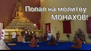 Очень красивое и уютное место в Паттайе! Таиланд, путешествие.