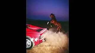 [FREE] DON TOLIVER x YEAT x PLAYBOI CARTI TYPE BEAT - 