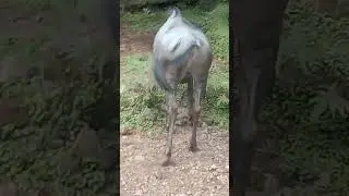 #ceritakeluarga