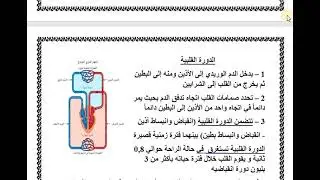 ثانياً  النقل في الإنسان الباب الأول أحياء الصف الثاني الثانوي لمدارس التمريض