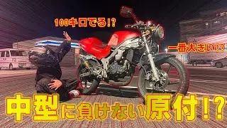 【納車】激レアバイクを手に入れました！【NS-1】
