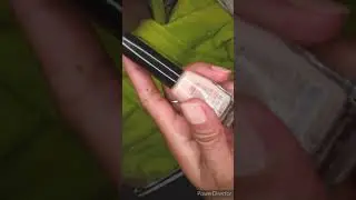 CHIC NAIL COLOR|TRY ON💯👌 NATURAL EFFECT