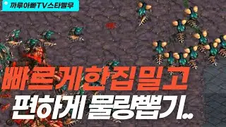 [까루아빠]스타빨무_[저그]저프테 VS 테테저 빠르게 한집밀고 여유있게 물량뽑기