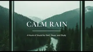 Rain Sounds for Sleep | Calm Forest Ambience Through the Window
