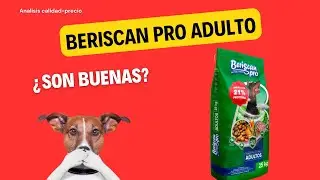 An&aacute;lisis de alimento para perro: Beriscan Pro Adulto