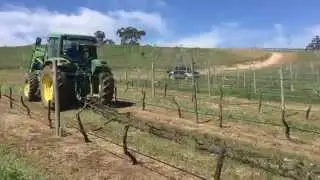 Vine removal
