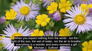 H. Stanley Judd Finest 4 Inspirational Cites