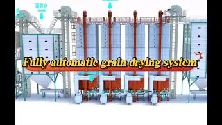 Fully automatic grain drying system