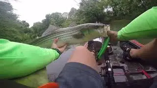 2023 Stripe fishing in North Georgia River