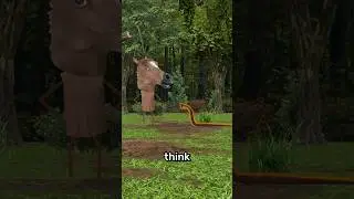 How To Defend Yourself From A Snake 😧
