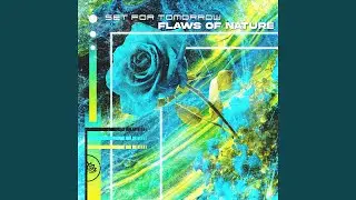 Flaws of Nature (feat. Orion Stephens)